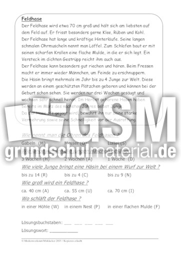 Feldhase.pdf